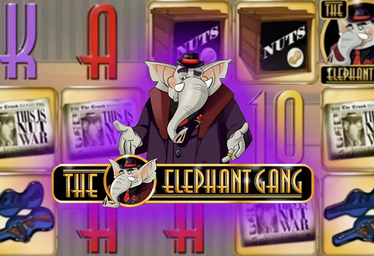 The Elephant Gang Tgc